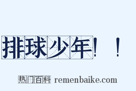 排球少年!!是什么意思的图片